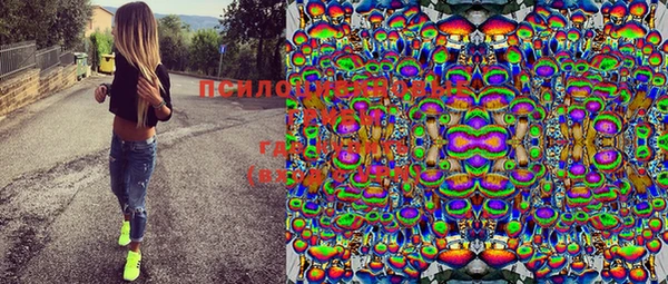 эйфоретик Вяземский