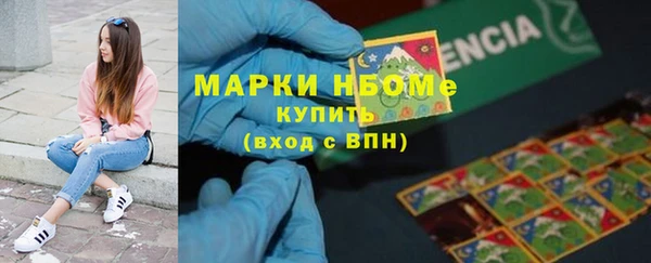 эйфоретик Вяземский