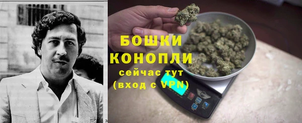 сатива Вязники
