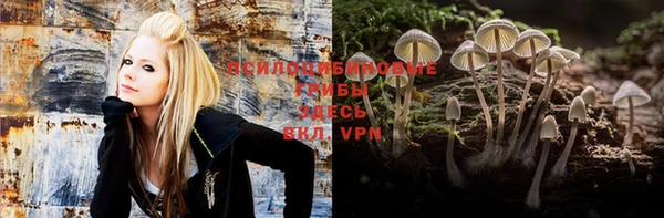 сатива Вязники