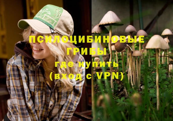 сатива Вязники