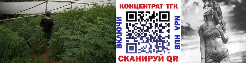 Дистиллят ТГК Wax  Балаково 